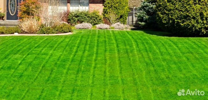 Газон рулонный гарантия