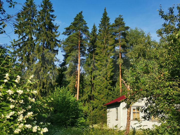 Участок 13 сот. (ИЖС)