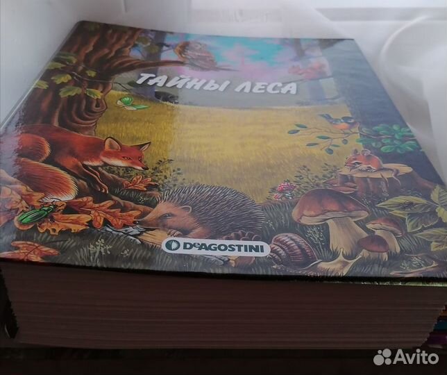 Энциклопедия