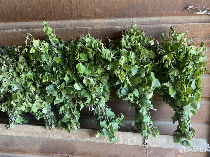 Березовые веники