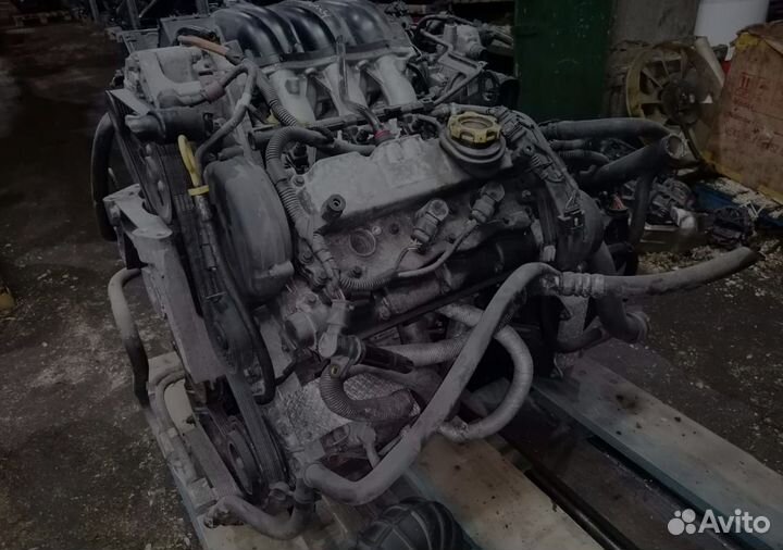 Двигатель Land Rover freelander 25K4F Б/У