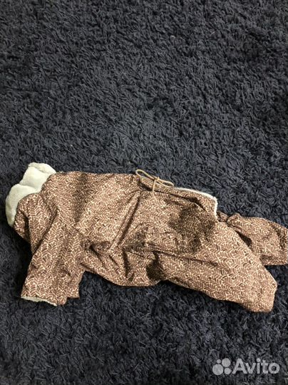 Одежда для собак