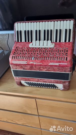 Аккордеон Тула