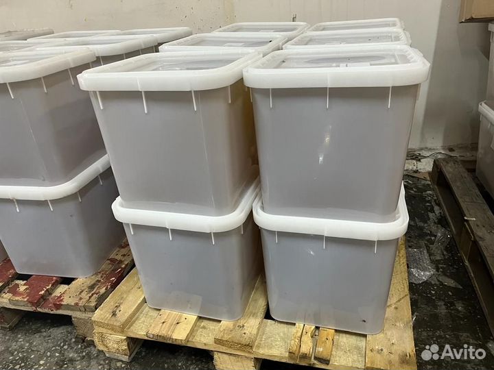 Мед гречишный свежий опт