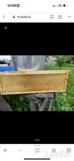 Сушь для пчел