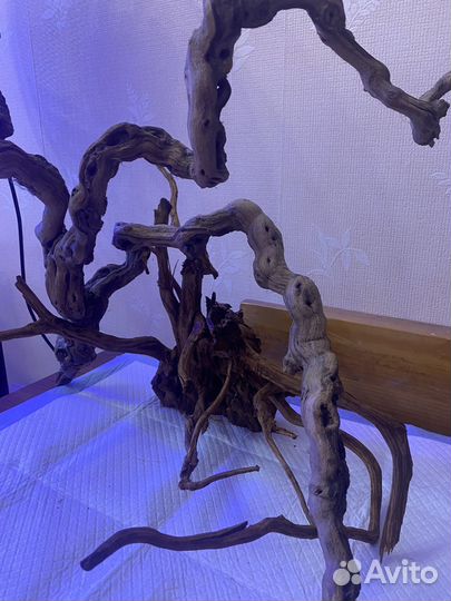 Коряги для аквариума мангры и не только