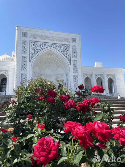 Гид/Экскурсии и туры в Чеченской республике