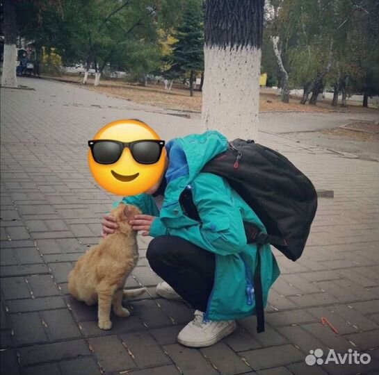 Ветровка