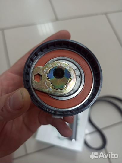 Комплект грм INA для ford focus 1, mondeo 2