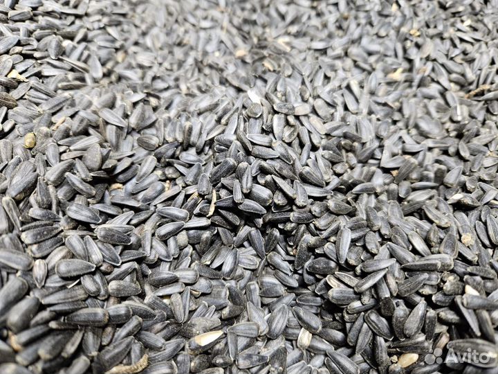 Масло подсолнечное нерафинированное, сыродавленное