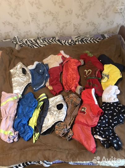 Одежда для средних и маленьких собаки