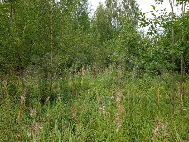 Участок 12 сот. (ИЖС)