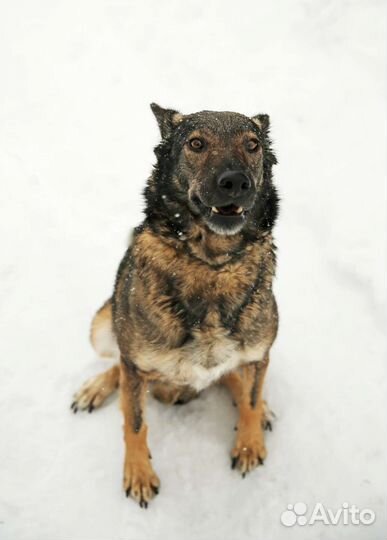 Пожалуйста, не пролистывай меня