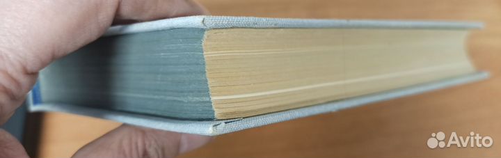 Северный полюс Поведение потребителей