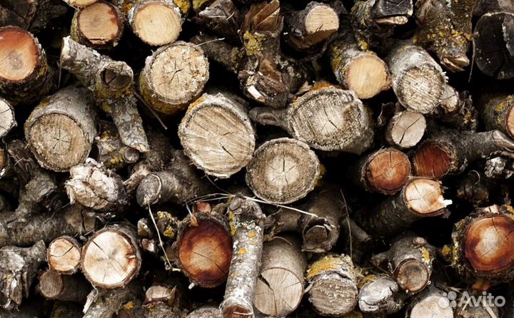 Дрова осина