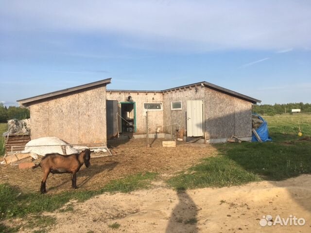 Фермерское хозяйство