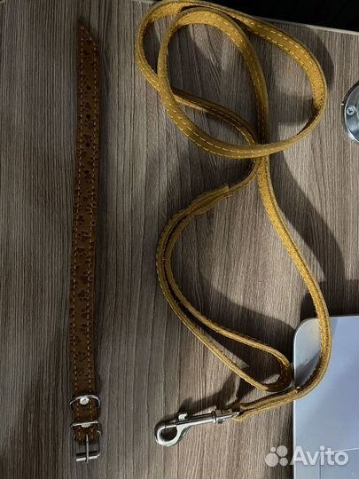 Ошейник и поводок