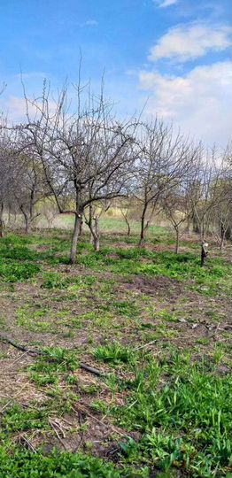 Дом 55 м² на участке 25 сот.