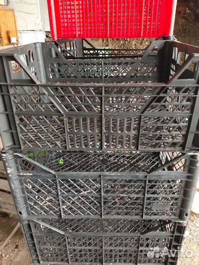 Пластиковые ящики для хранения бу