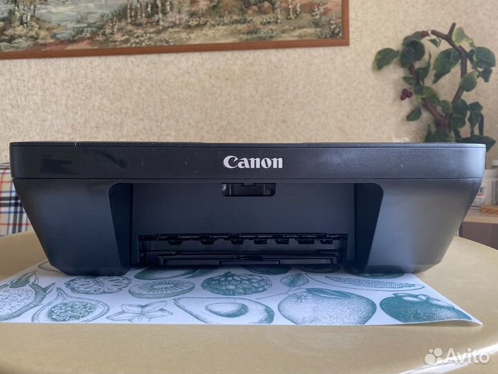 Принтер Canon pixma MG2540S