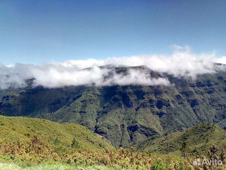 Экскурсия — Мадейра — Первозданная Природа Западно