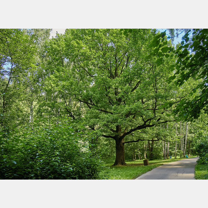 Квартира-студия, 22,6 м², 9/23 эт.