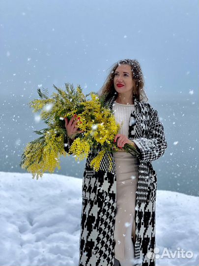 Экскурсия Зимняя абхазия