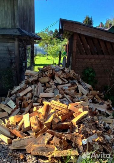Дрова Береза