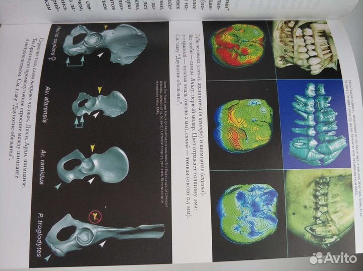 Коллекция книг 