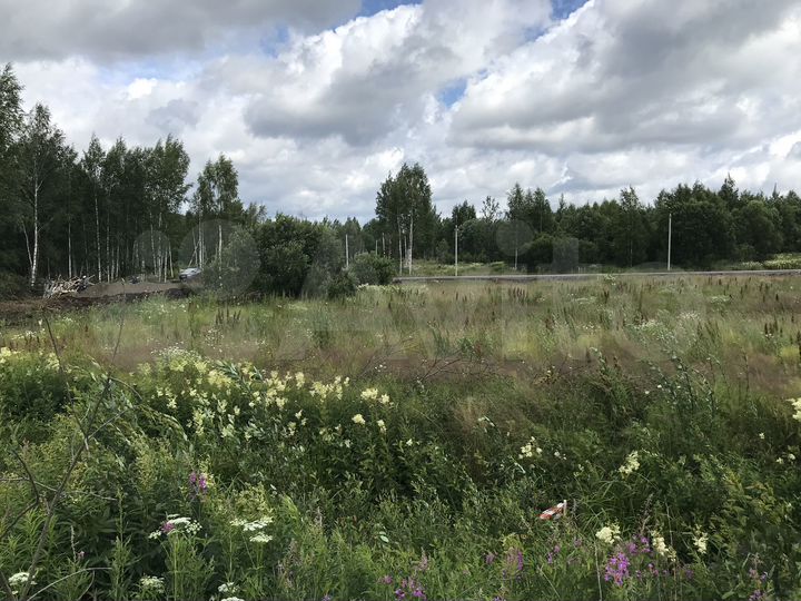 Участок 12,6 сот. (ИЖС)