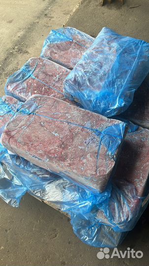 Легкое говяжье