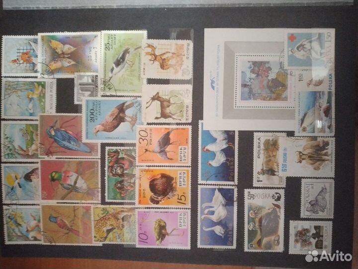 Марки разных стран и разных тематик