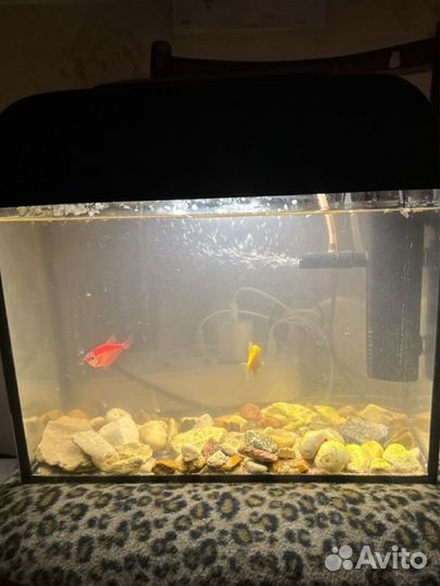 Аквариум