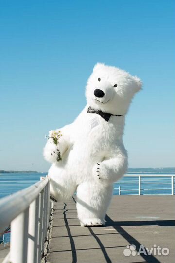 Поздравление от мишек,чебурашки