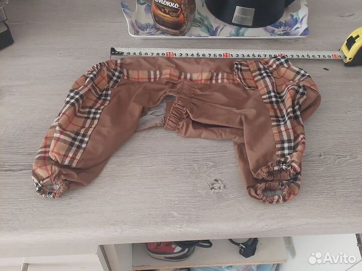 Одежда для маленьких собак