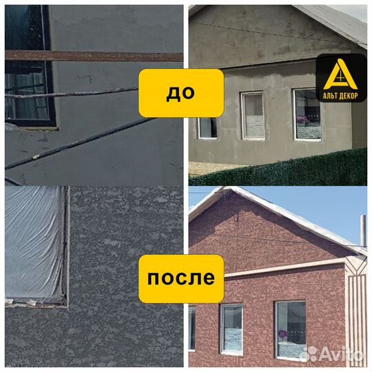 Новый короед Венеция