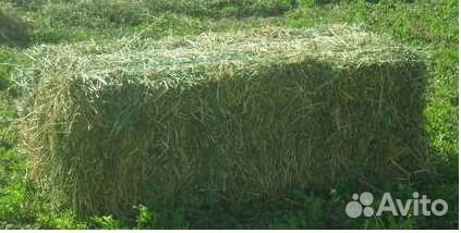 Сено в мешках