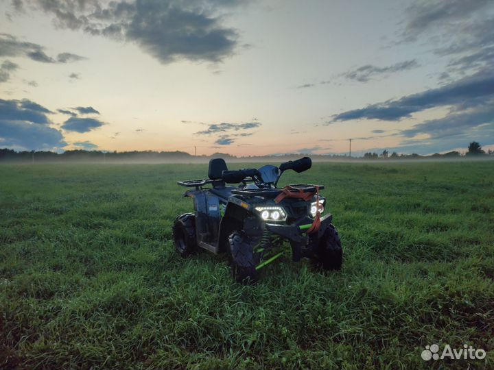 Motoland Wildtrack 200