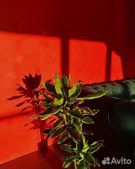 Аренда фотостудии