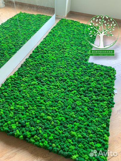 Панно панели фитостены стабилизированный мох