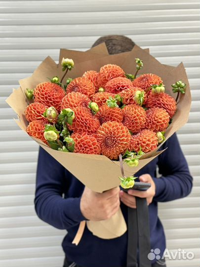 Цветы георгины