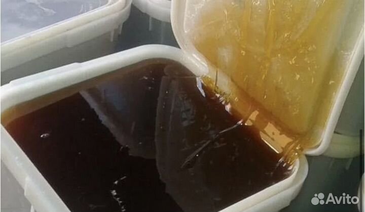 Мед гречишный 2024