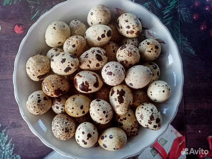 Яйца перепелиные домашние+доставка