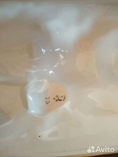 Фарфоровые статуэтки