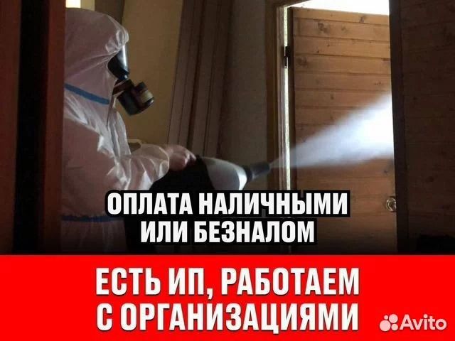 Уничтожение тараканов, клопов, клещей, муравьев