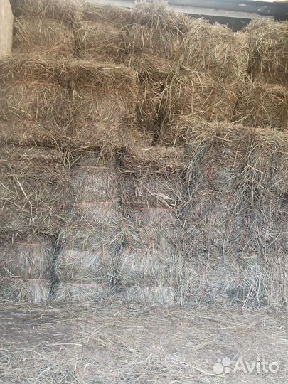 Сено в тюках 2023
