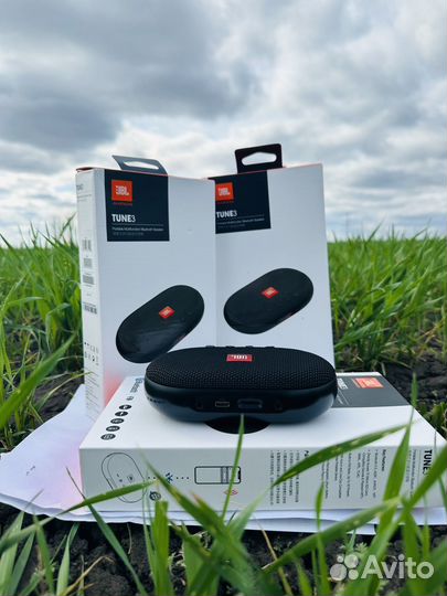 Колонка с FM тюнером JBL Tune 3