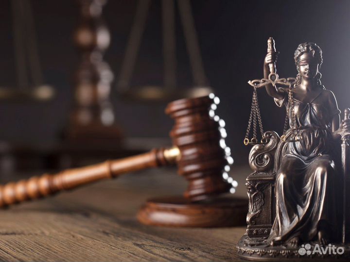 Семейный юрист/ Развод/ Алименты/Раздел имущества