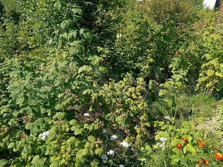 Участок 8,5 сот. (СНТ, ДНП)