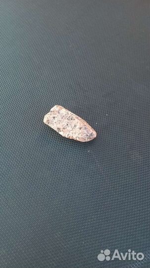 Камень Валя, домашний питомец